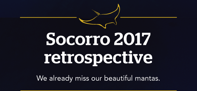 Socorro 2017 retrospective