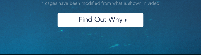 Find Out Why