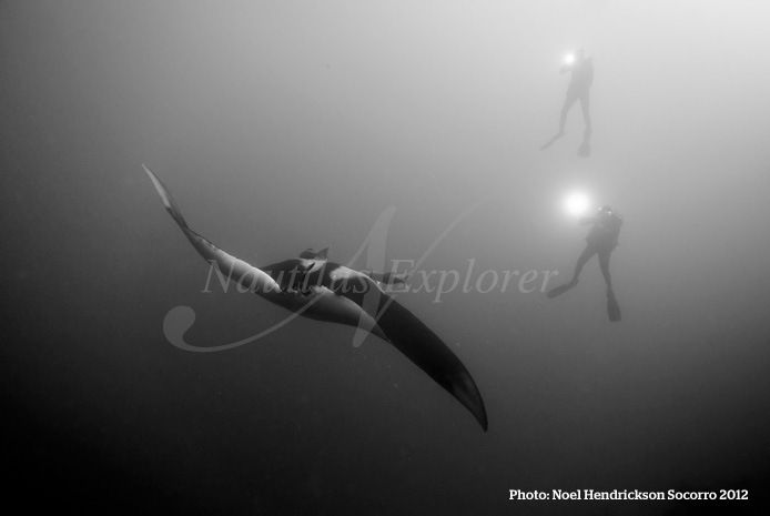 noelHendrickson_socorro_2012_c Giant Manta Diving Socorro Island