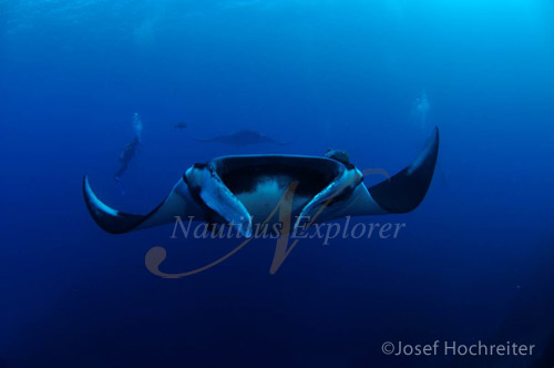 ©Josef Hochreiter_image002-3