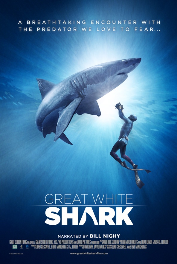 great white shark