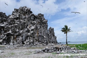 2014_Apr09_CLIPPERTON rock ruins 1 (3)