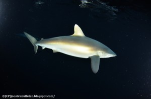 2014_Apr27_ediDSC_5034