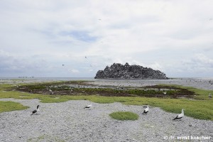 clipperton rock lagoon