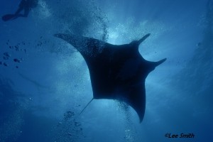 Lee Smith_DSC0022