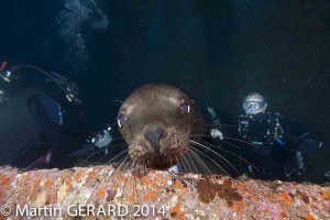 MGERARD Internet-6306
