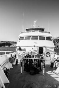 IMG_9626