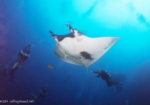 2014_Socorro_UnderseaX00014