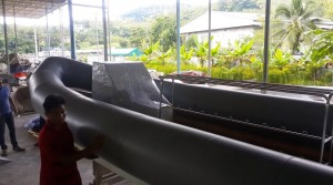 rhibs