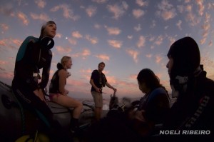 NLR_7360copy