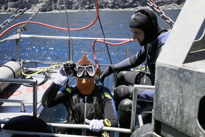 divers preparing to enter shark cage