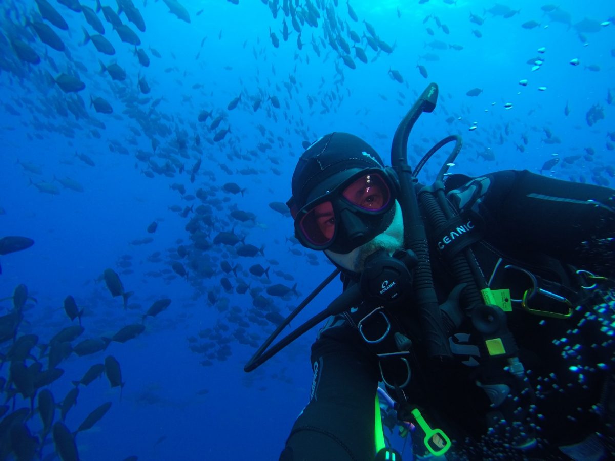 diver takes a selfie with countless schools of fish