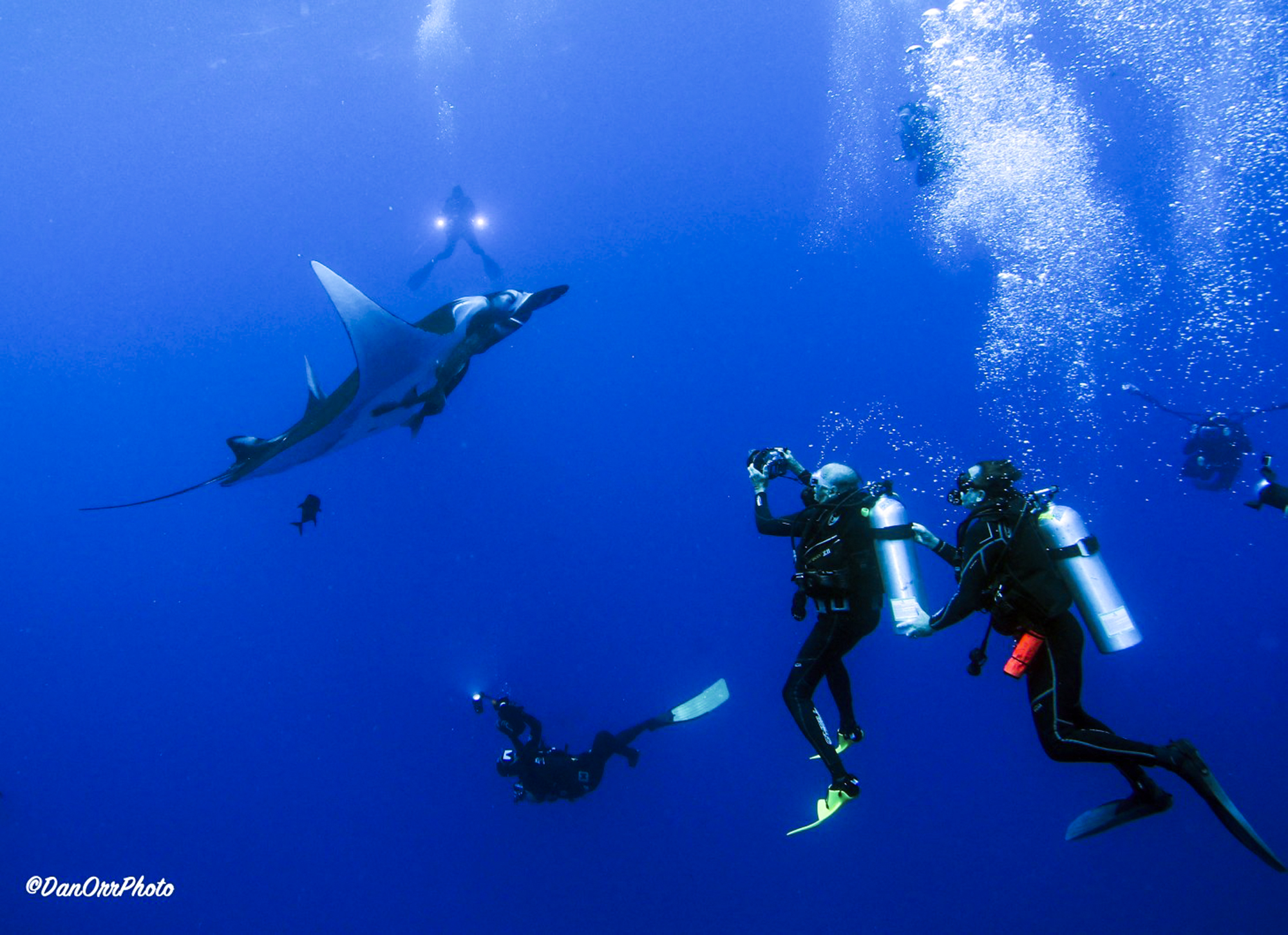 Divers check out a giant manta, photo by Dan Orr