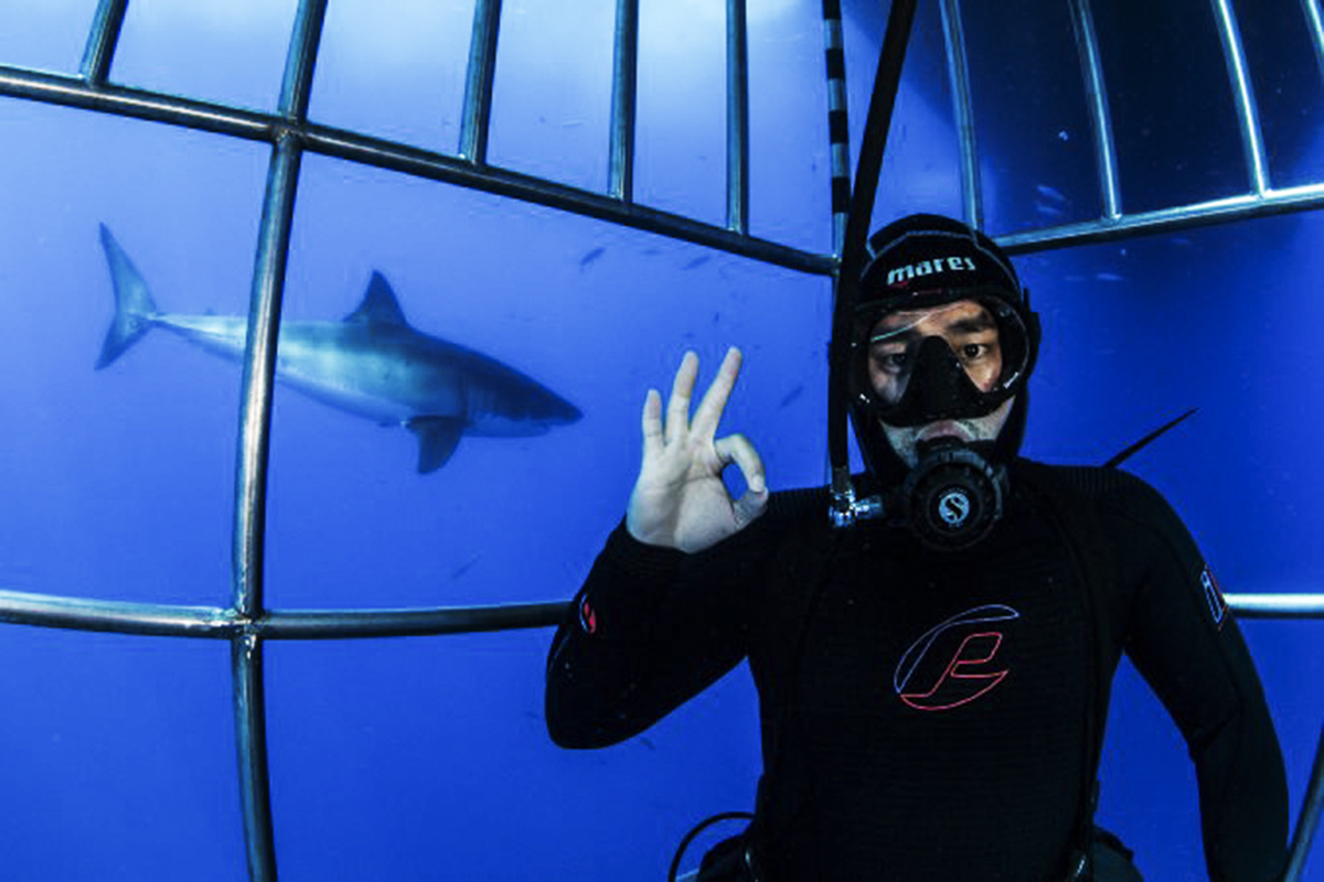 Helping Guests with Shark Selfies, Photo by DM Thiago