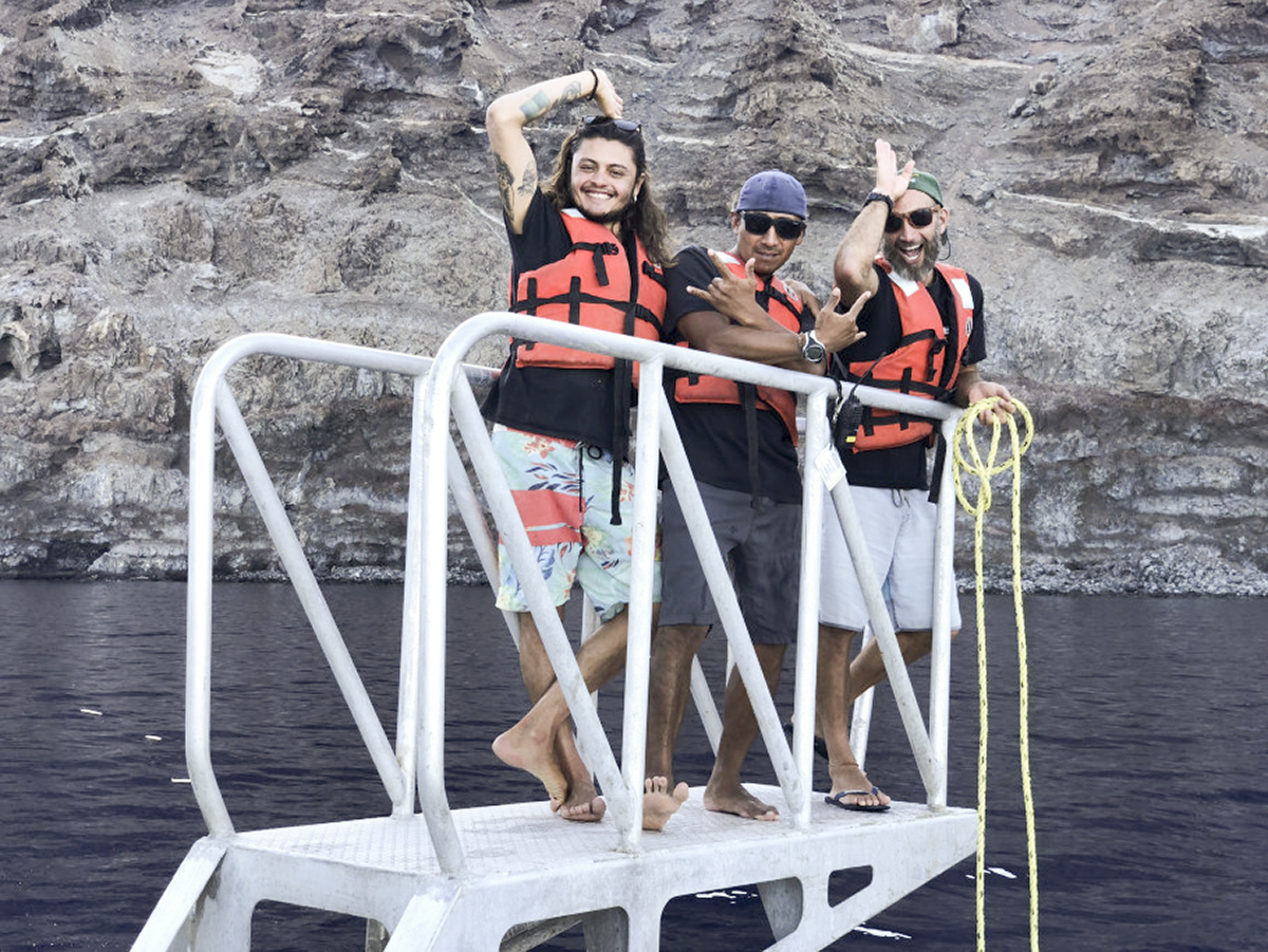 Shaaark! A happy crew means a happy ship.