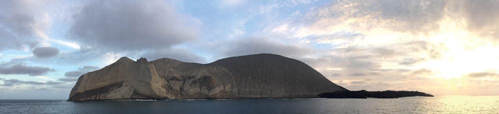 Le favori des plongeurs, San Benedicto sur la route des requins