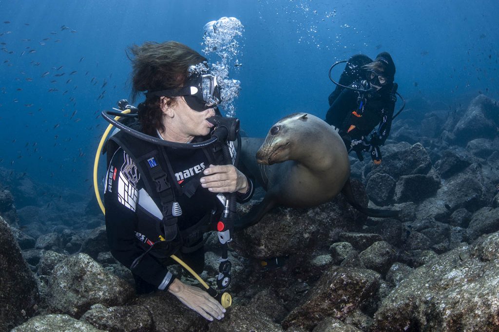 Diving with sea lions in the Sea of Cortez