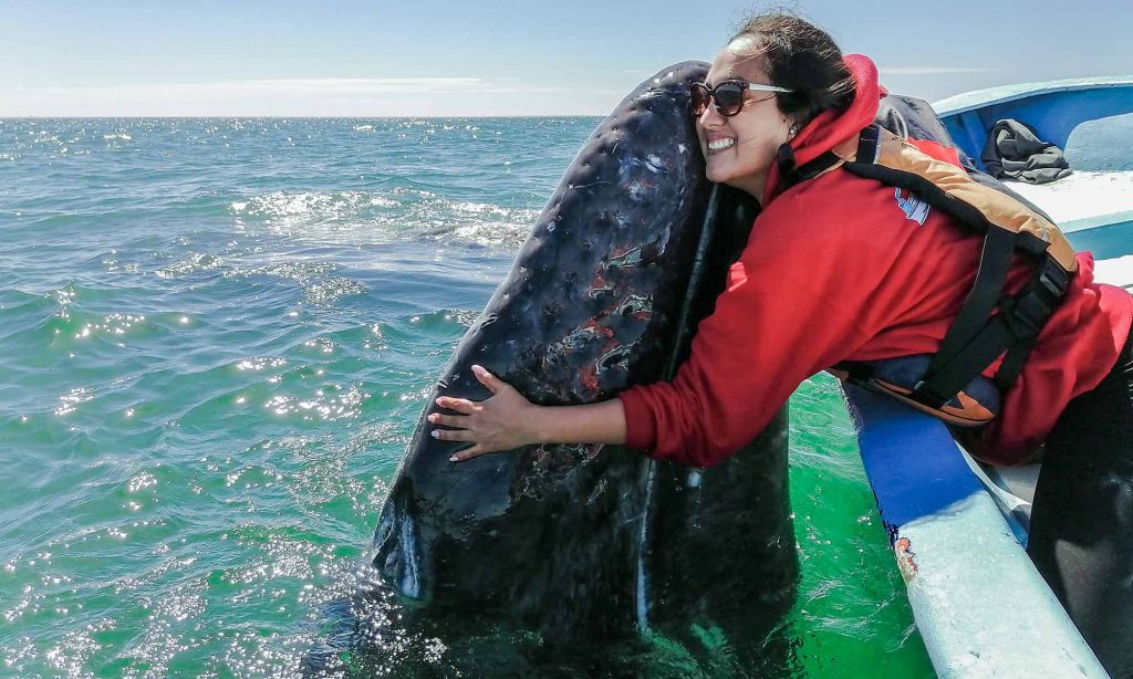 Hugging a gray whale in San Ignacio