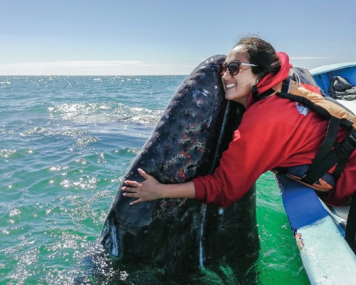 San Ignacio Lagoon Destination