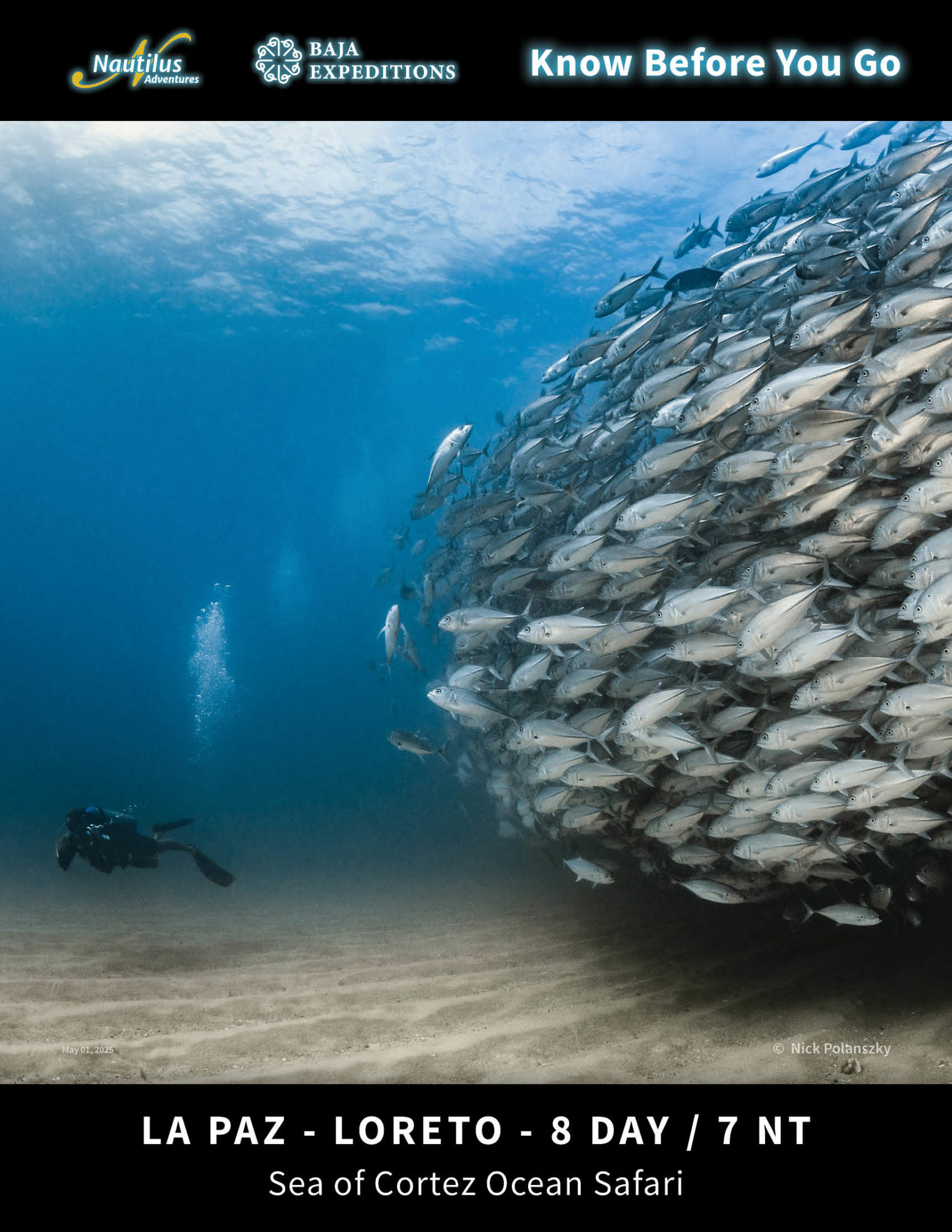 Sea of Cortez La Paz -  Loreto Great Circle