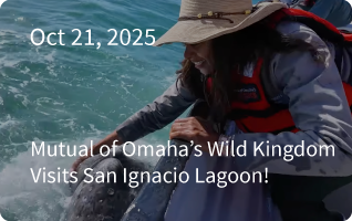 San Ignacio Newsletter