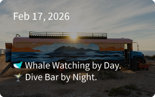 San Ignacio Newsletter