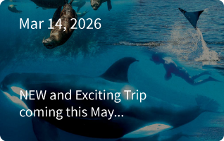Ocean Safari Glamping Newsletter