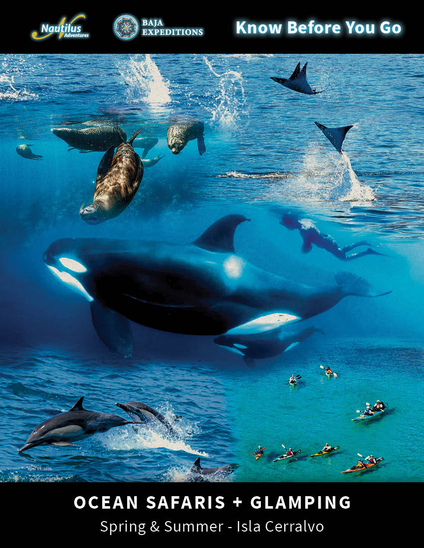 Ocean Safari + Glamping on Jacques Cousteau (Cerralvo) Island