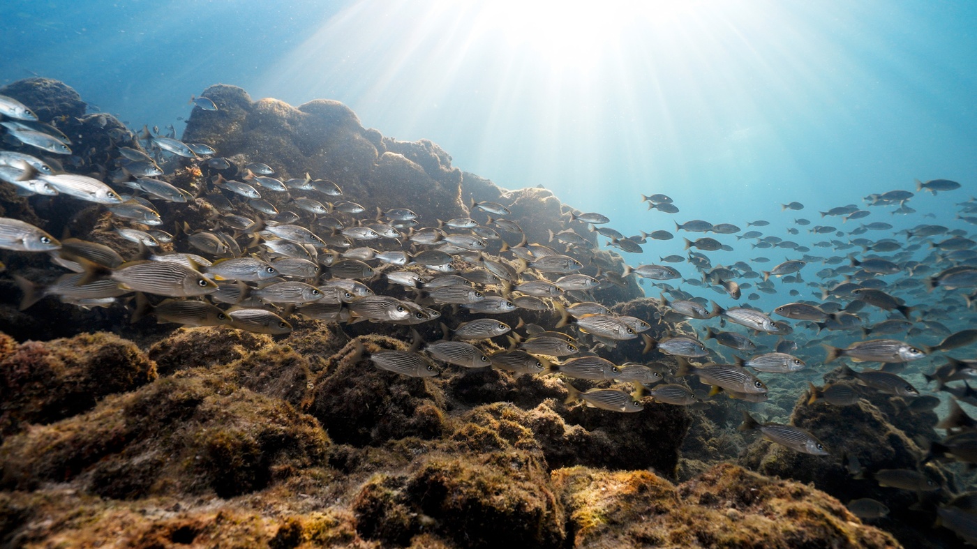 Sea of Cortez 6-Day Getaway