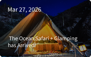 Ocean Safari + Glamping is Here!