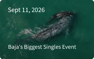Baja's Biggest Singles Event