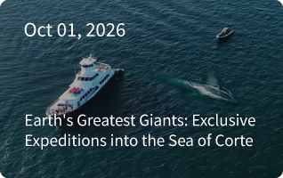 Earth's Greatest Giants: Exclusive Expeditions into the Sea of Cortez