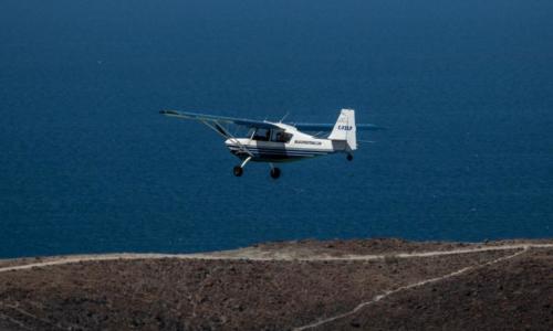 Spotter Plane, Whale Watching Tours